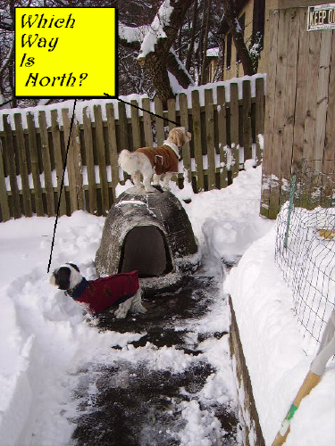 Which Way Is North?